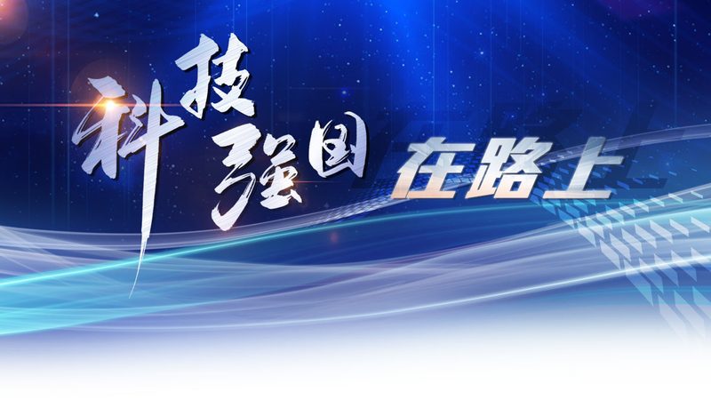 数据安全风险评估：企业如何构建坚实的安全防线