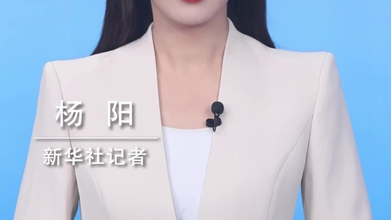 性能测试指标的选择至关重要，常见的测试指标包括：